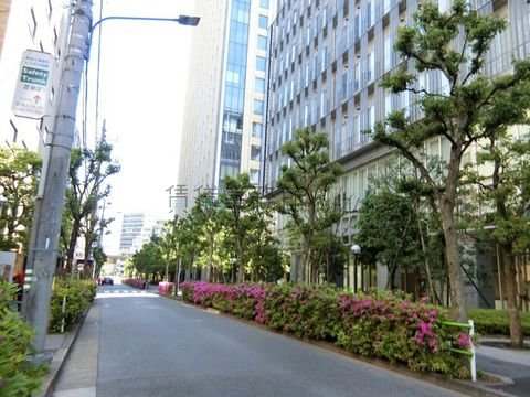 かすみ通り