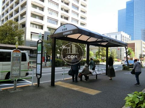 大通り