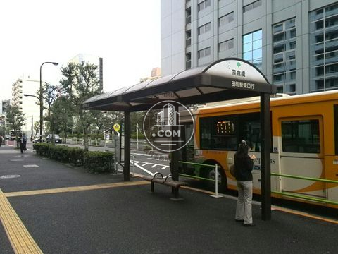 大通り