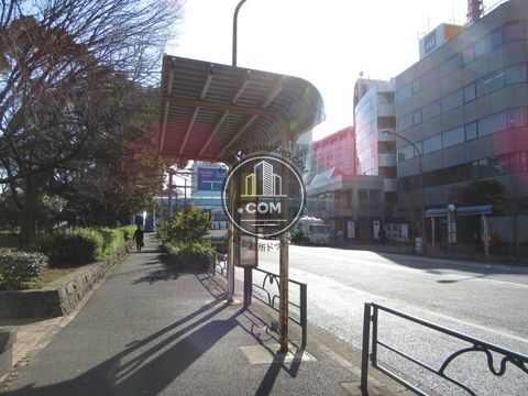 大通り