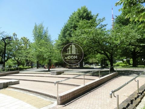 大通り