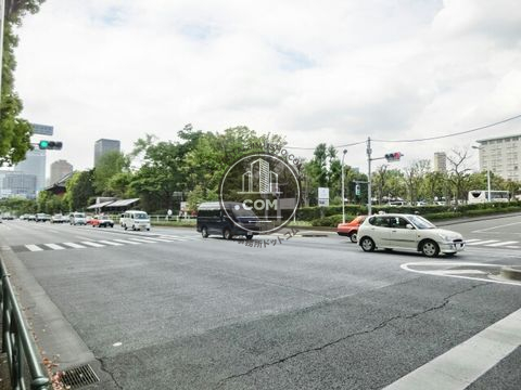 大通り