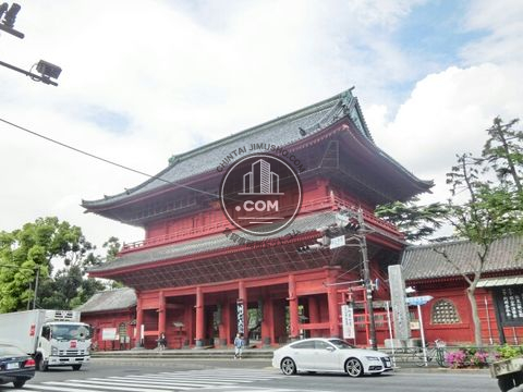 大通り
