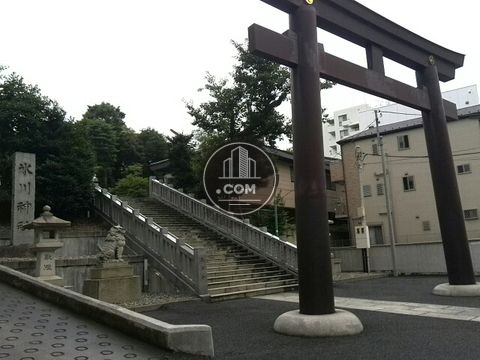 裏路地