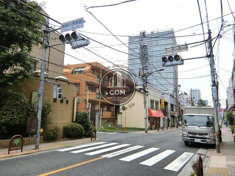 大通り