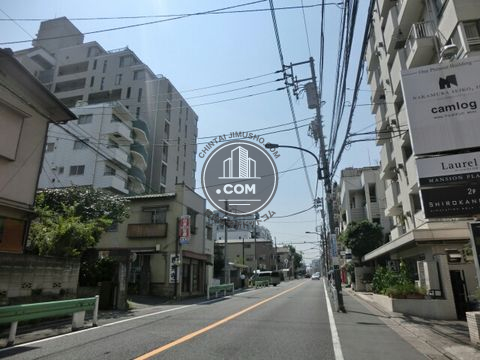 大通り