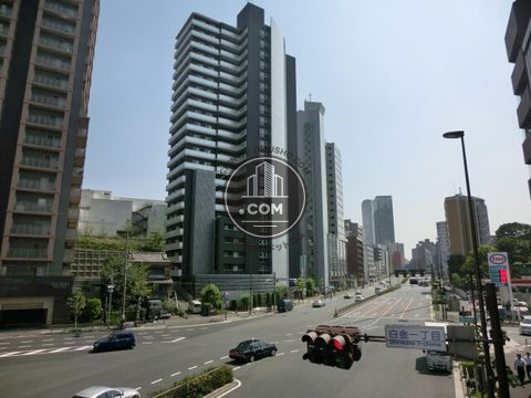 大通り