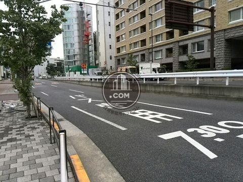 大通り