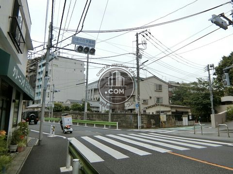 大通り