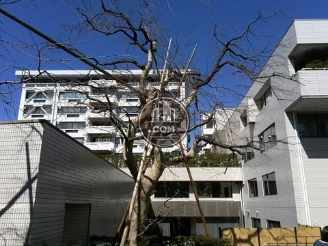 ランドマーク