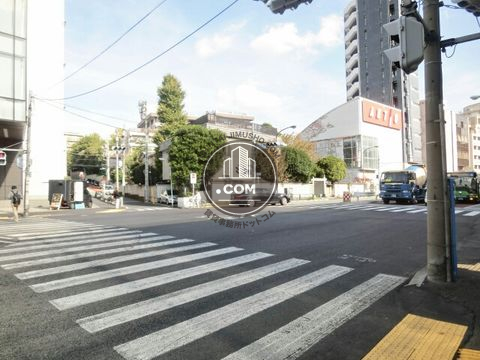 大通り