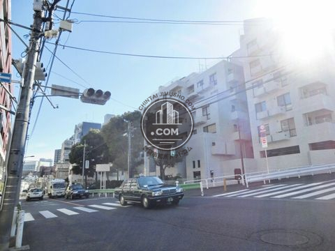 大通り