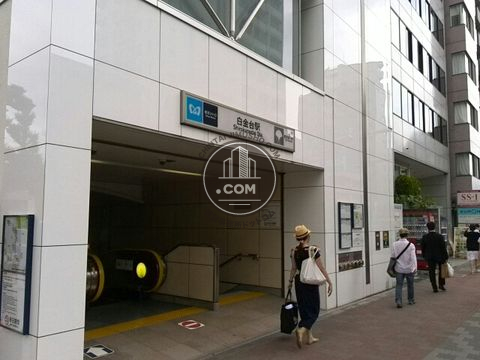 駅周辺