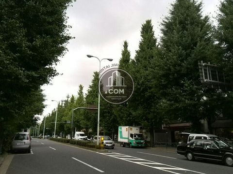 大通り