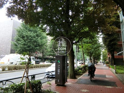 大通り