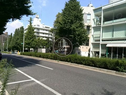 大通り