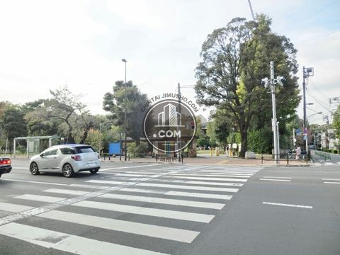 大通り