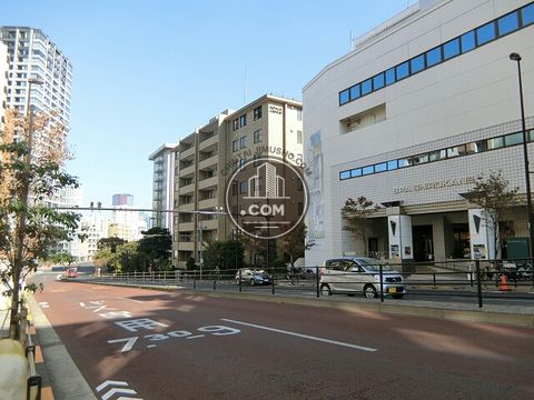 大通り
