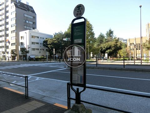 大通り