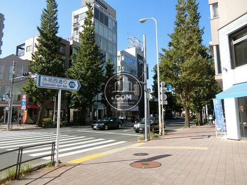 大通り