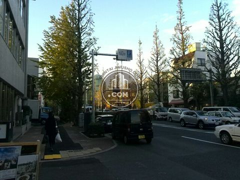 大通り