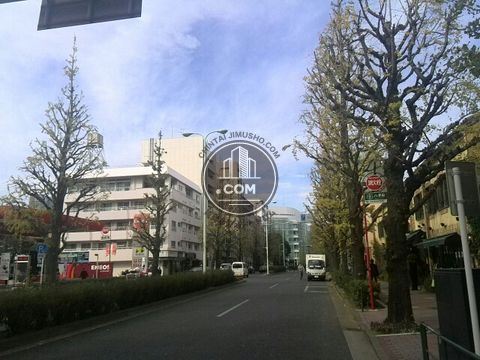 大通り