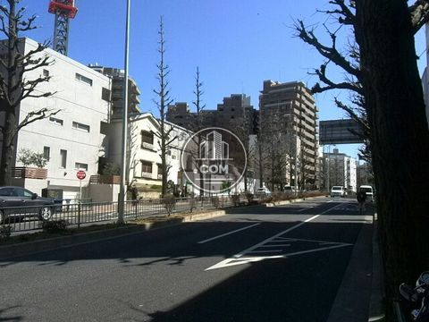 大通り