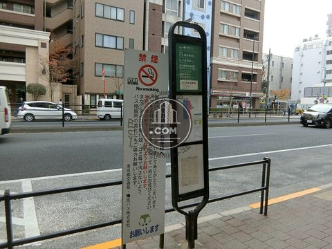 大通り