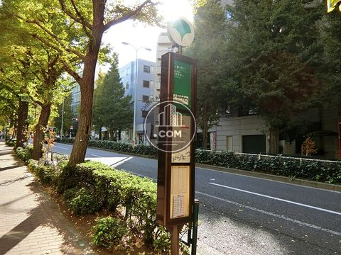 大通り
