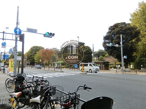 大通り