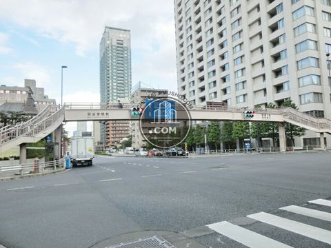 大通り