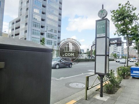 大通り