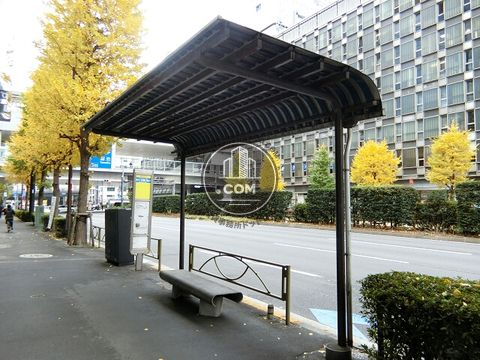 大通り