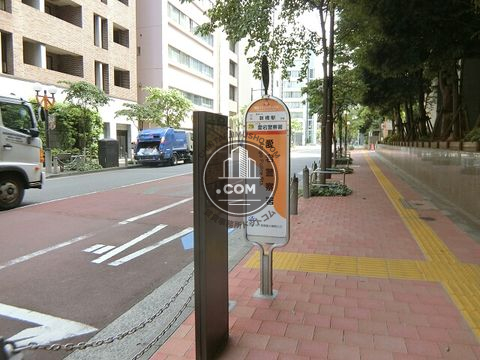 大通り