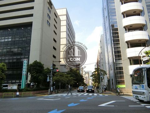 大通り