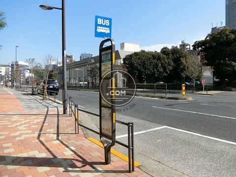 大通り