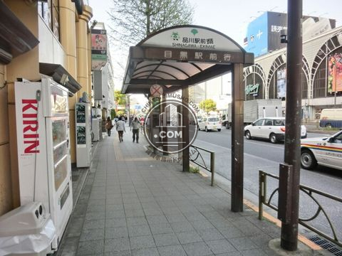 大通り