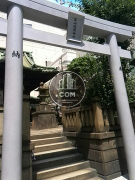 大通り