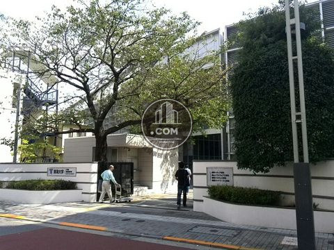 裏路地
