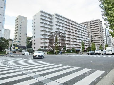 大通り