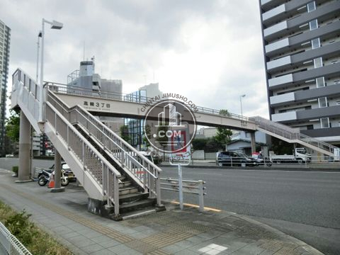 大通り