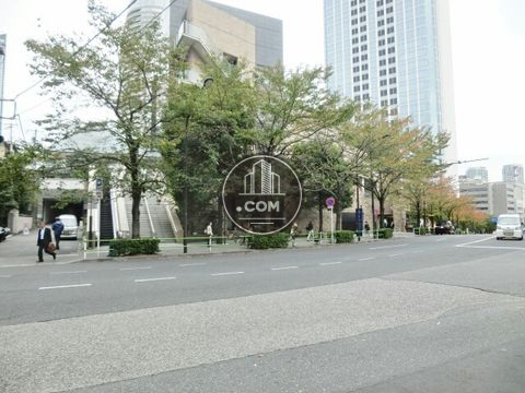 大通り