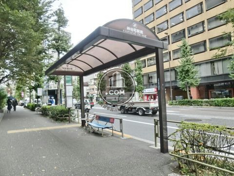 大通り