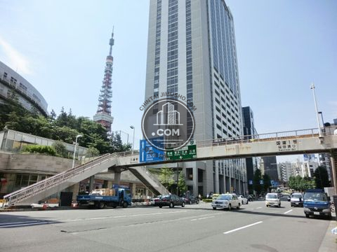 大通り