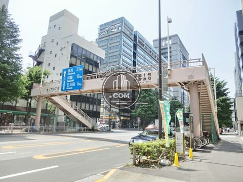 大通り