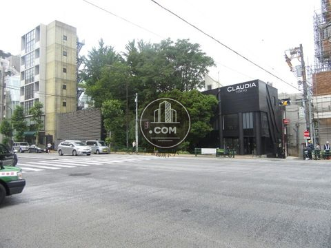 大通り