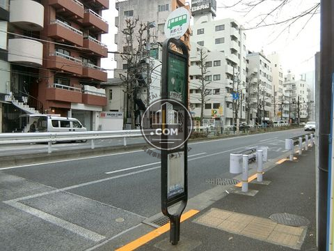 大通り
