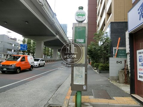 大通り