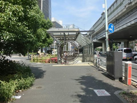 大通り