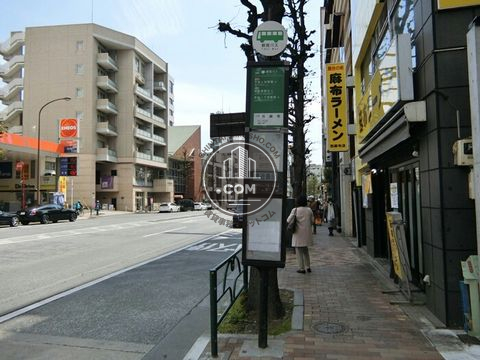 大通り